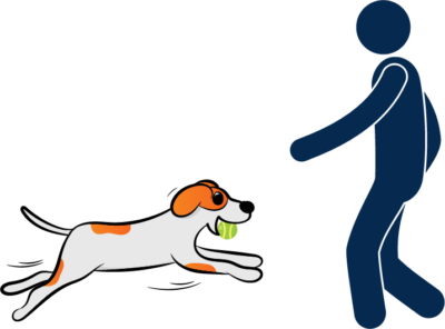 Dog Training & Behaviour Resources